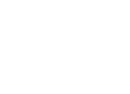 Data Steward Pte. Ltd. Logo White