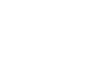 Data Steward Pte. Ltd.