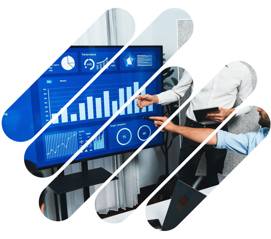 Data-Steward-Pte.-Ltd.-Profile